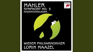 Symphony No. 3 in D Minor: Ie. Immer dasselbe Tempo (Marsch) . Nicht eilen