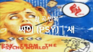 [광고없음┃한곡반복] 싸이 (PSY) - 새