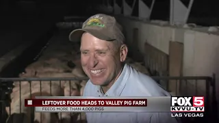 Hog farm benefits from hotel buffets