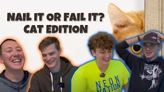 Did The Cat Nail It Or Fail It? || C3 Youth