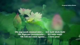 Plácido Domingo - Dein ist mein ganzes Herz Deutsch/Portugues/English lyrics