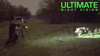 Hunter Attacked by Angry Boar During Thermal Hunt with Trijicon REAP-IR Thermal Scope