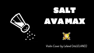 Salt - Ava Max (@itisLELAND Violin Cover)