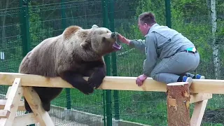 Мансур с Андреем на новой игровой площадке🤗🐻/Bear Mansur