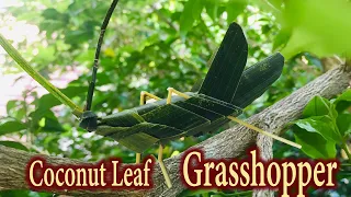 How To Make A Grasshopper With Coconut Leaves | Coconut Leaf Crafts |Palm Leaf Crafts | Grasshopper.