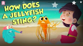 How Does A Jellyfish Sting? | Everything About Jellyfish | Dr Binocs Show | Peekaboo Kidz