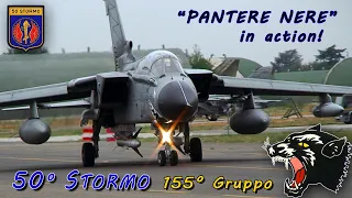 Italian Air Force - Le PANTERE NERE del 50° Stormo