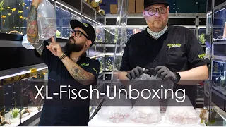 Fisch-Unboxing - Wir bekommen neue Fische | Aquado-Zoo Dortmund