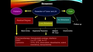 IMAGING OF NEUROENDOCRINE TUMOURS