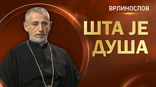 Врлинослов - Шта је душа, протојереј-ставрофор проф. др Владимир Ступар