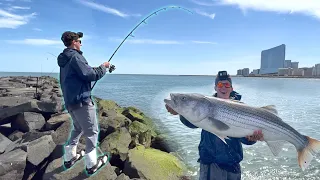 The MOST GIANT Land Based Stripers You Will EVER See!