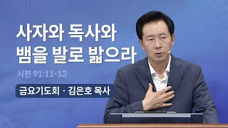 [오륜교회 금요기도회 김은호 목사 설교] 사자와 독사와 뱀을 발로 밟으라  2022-08-12