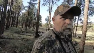 Spring Archery Turkey in Arizona. Hunting, Fishing and First Night in a Hammock Camping..