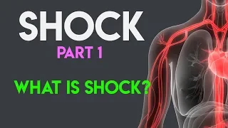 What Is Shock? | Shock Pathophysiology | Shock (Part 1)