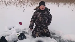 Зимняя рыбалка Никольский Торжок