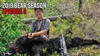 Solo Washington Fall Bear Hunt Success! | 2019 Hunting Season EP.09