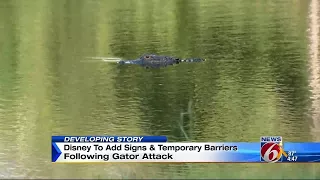 Disney to add signs and temporary barriers after alligators kills toddler