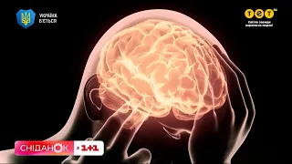 День мозку: як він працює та чи відновлюються нервові клітини