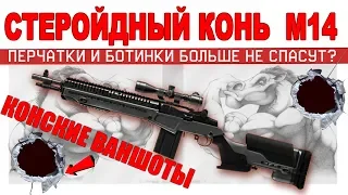 M14 Crazy Horse стеройдный конь/Ну че,посаны, ваншот-баланс?