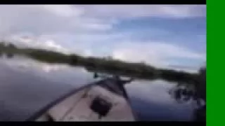 Motor falls off boat