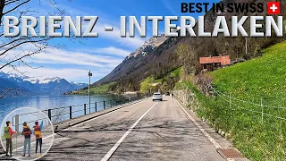 [4K]🇨🇭 Driving in Switzerland - Brienz, Lake Brienz to Interlaken (relaxing music)