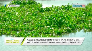 Balitang Bicolandia: Paggibo nin mga produkto gamit an water lily, pig-bubuhay sa Mabolo, Naga City