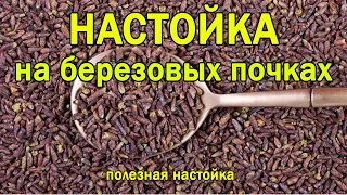 Настойка на берёзовых почках. Настойка на березовых бруньках. Березовые почки на водке. Рецепт.