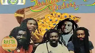 THE WAILERS ‎– THE NEVER ENDING WAILERS [1993 FULL ALBUM]