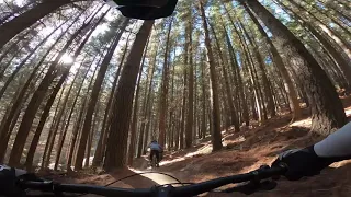 Loess Rider - Christchurch Adventure Park