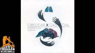 Purity Ring x Sage The Gemini - Obedear X Gas Pedal (Andrew Luce Mashup) [Thizzler.com]