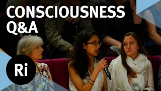 Q&A - The Neuroscience of Consciousness – with Anil Seth