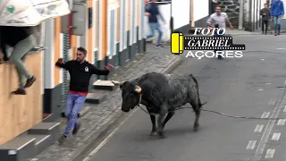 27- Maio- 2023 -Tourada à Corda Largo da Igreja Vila de São Mateus  HF