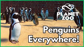 I have too many penguins!!! | Planet Zoo | 1-31-2024 Stream Summary