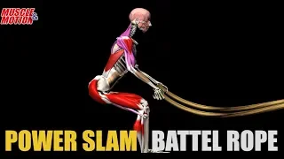 Power Slam Battle Rope | Anatomical Analysis