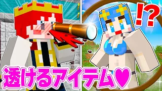 服が透けちゃう望遠鏡で女の子をのぞいてみた結果www【マイクラ / マインクラフト / Minecraft】