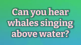 Can you hear whales singing above water?