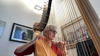 Passacaille from Suite #7 in G minor by Händel (1685-1759), edited for harp by Elizabeth Volpé Bligh