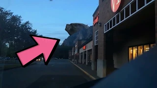 Real Godzilla attacked and destroyed my car!