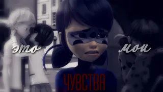 (MLB)"Это мои чувства...."///Miraculous Ladybug Clip