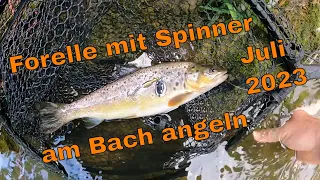 Bachforelle mit 1er Spinner am Bach mit Spinnrute angeln
