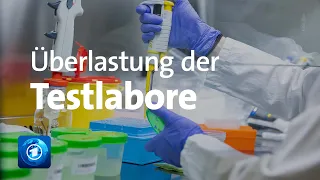 Corona-Tests: Viele Labore am Limit