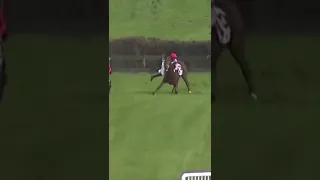 Jockey falls off and Still Wins Race🤯🤯