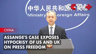 Assange's Case Exposes Hypocrisy of Us and Uk on Press Freedom: Spokesman