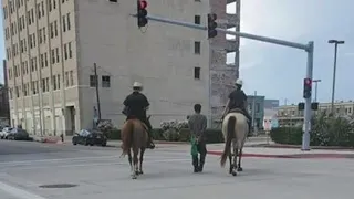 Social media explodes after Galveston officer on horseback escorts cuffed man with rope