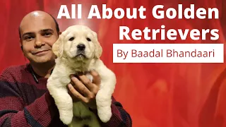 All About Golden Retriever | Pros & Cons Of Family Dog Breed | Benefits Of Puppy | Baadal Bhandaari