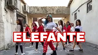 |NK-ELEFANTE|Kanykei Choreography|MOON ENTERTAINMENT|