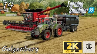 Preserving the silage bales for winter/Soybean harvesting! Timelapse l FS22 Galgenberg #ep14