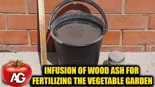 HOW TO MAKE A WOOD ASH INFLECTION TO FERTILIZE YOUR ENTIRE GARDEN