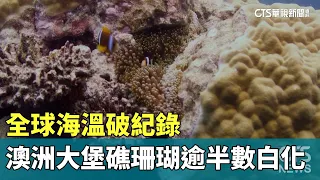 全球海溫破紀錄　澳洲大堡礁珊瑚逾半數白化｜華視新聞 20240527