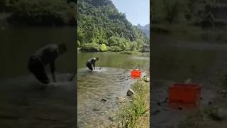 Best Fishing Video 🐟 Amazing Fishing 🔴 BigFishingTV 🔴 Tik Tok China #shorts427